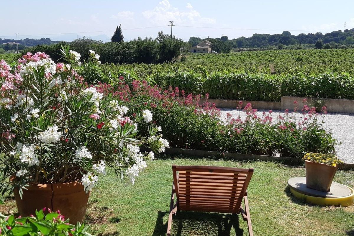 Gîte Le Levant - Vue du Gîte