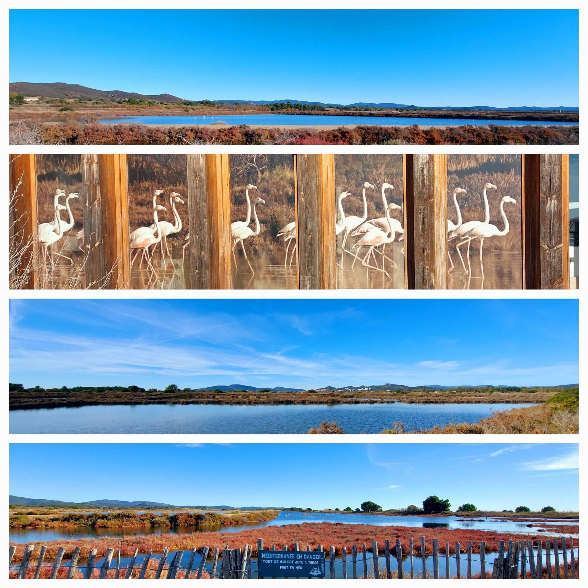 ZONE NATURE SALINS D HYERES