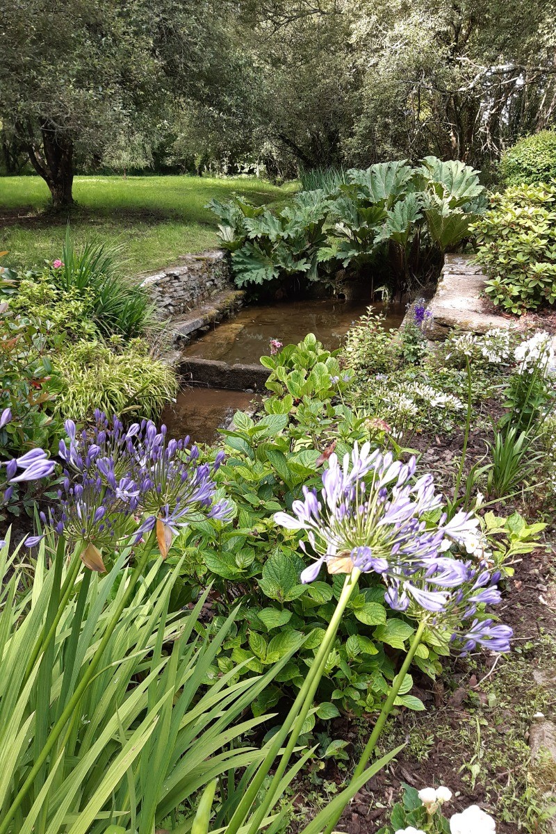 le lavoir