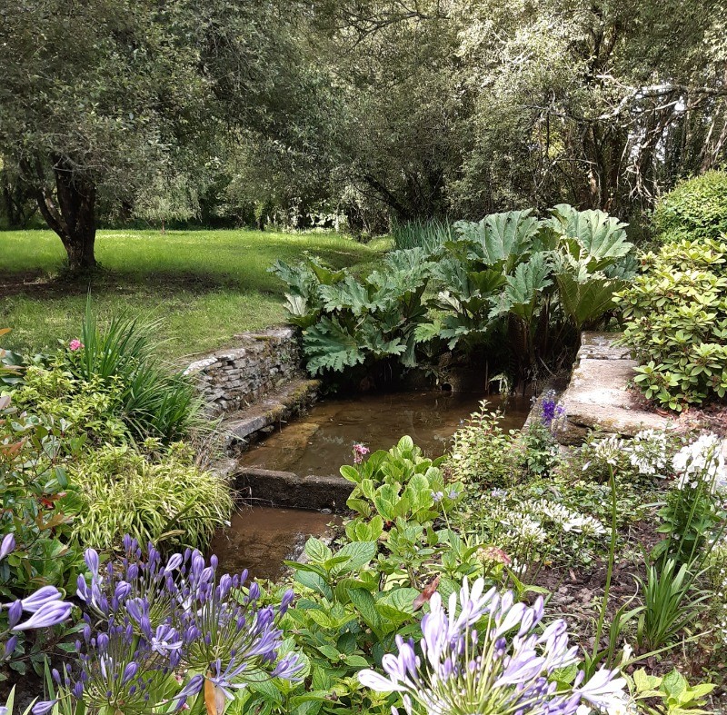 le lavoir