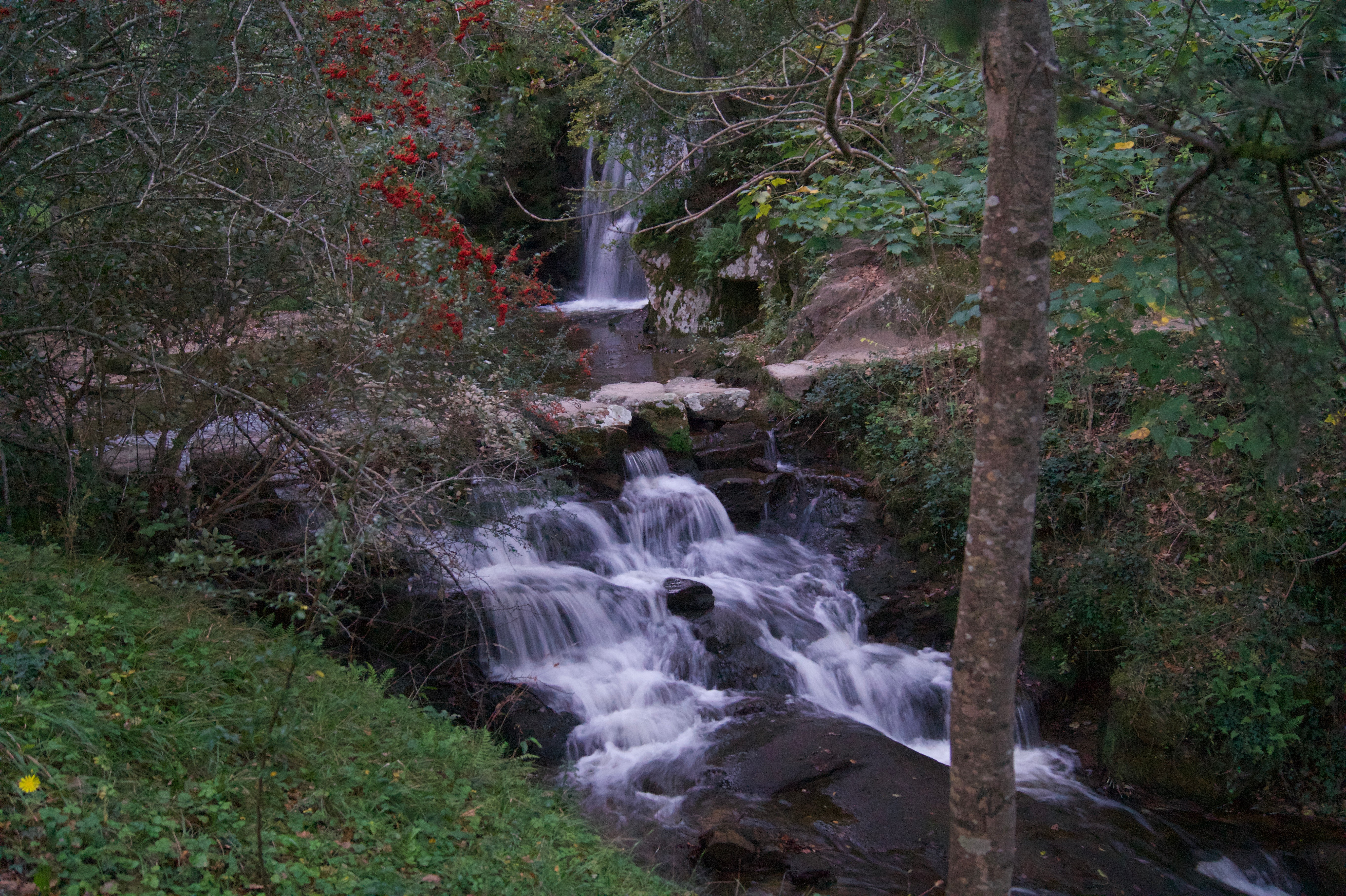 cascades