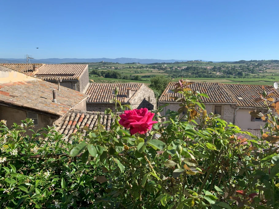 Photo n° 7 de la location