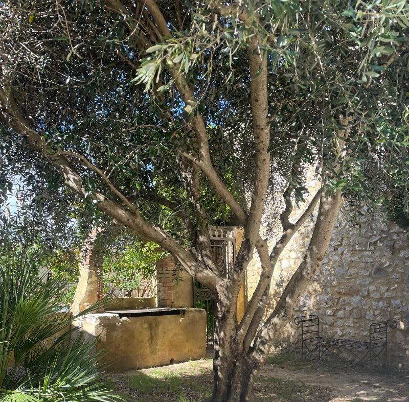 Photo n° 18 de la location