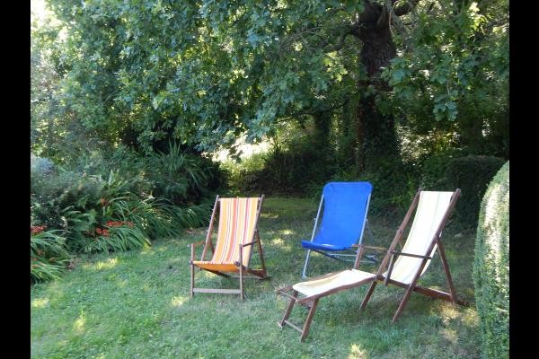 partie du jardin à l'ombre des chênes