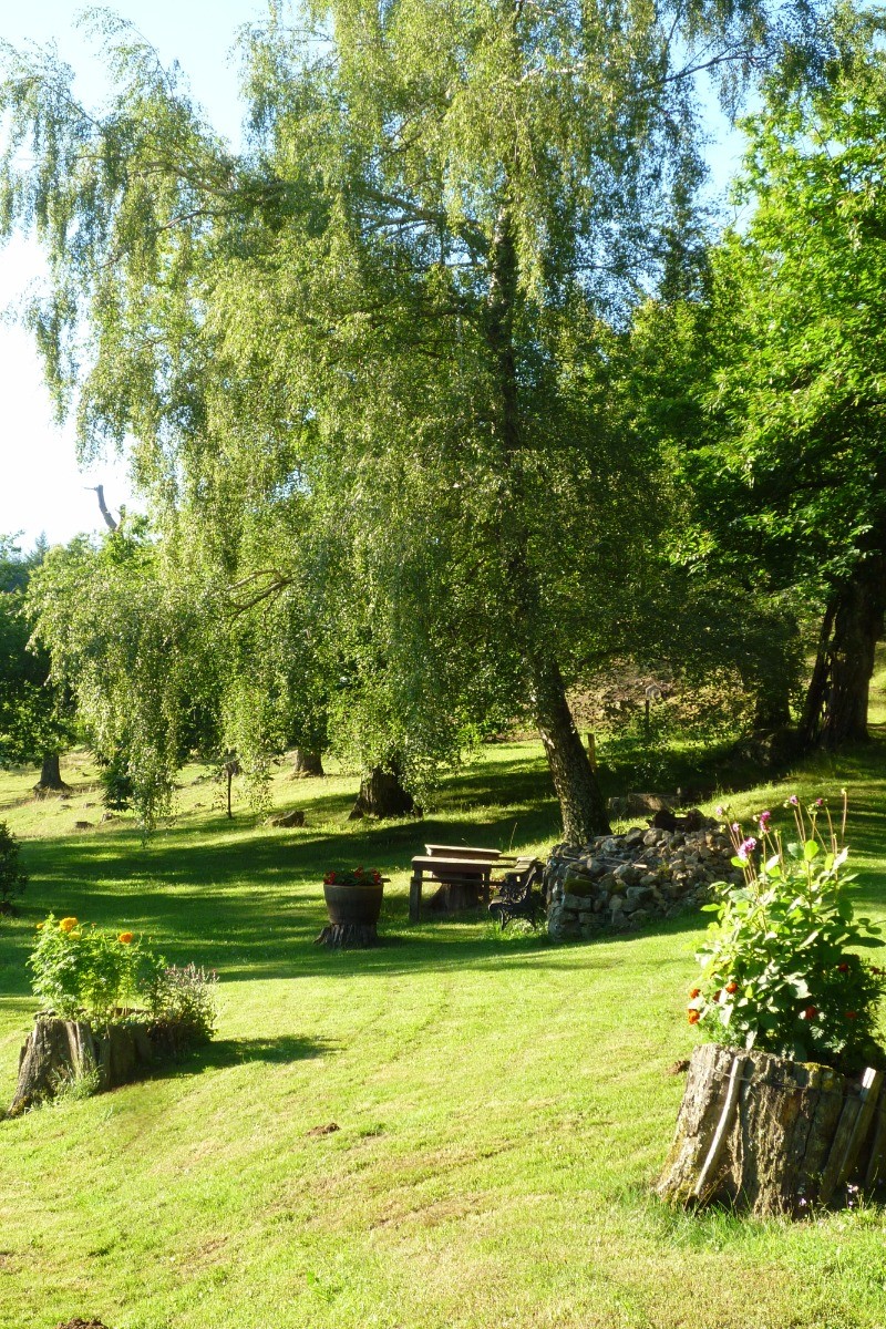 Photo n° 14 of the location