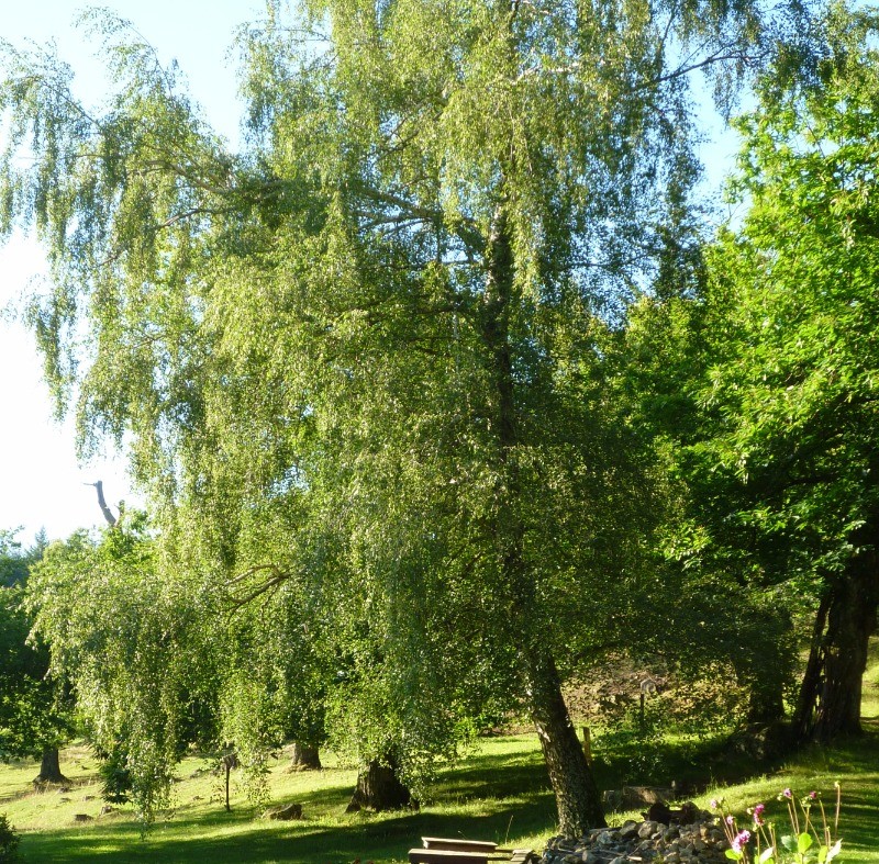 Photo n° 14 of the location