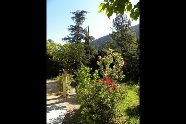 Photo n° 6 de la location