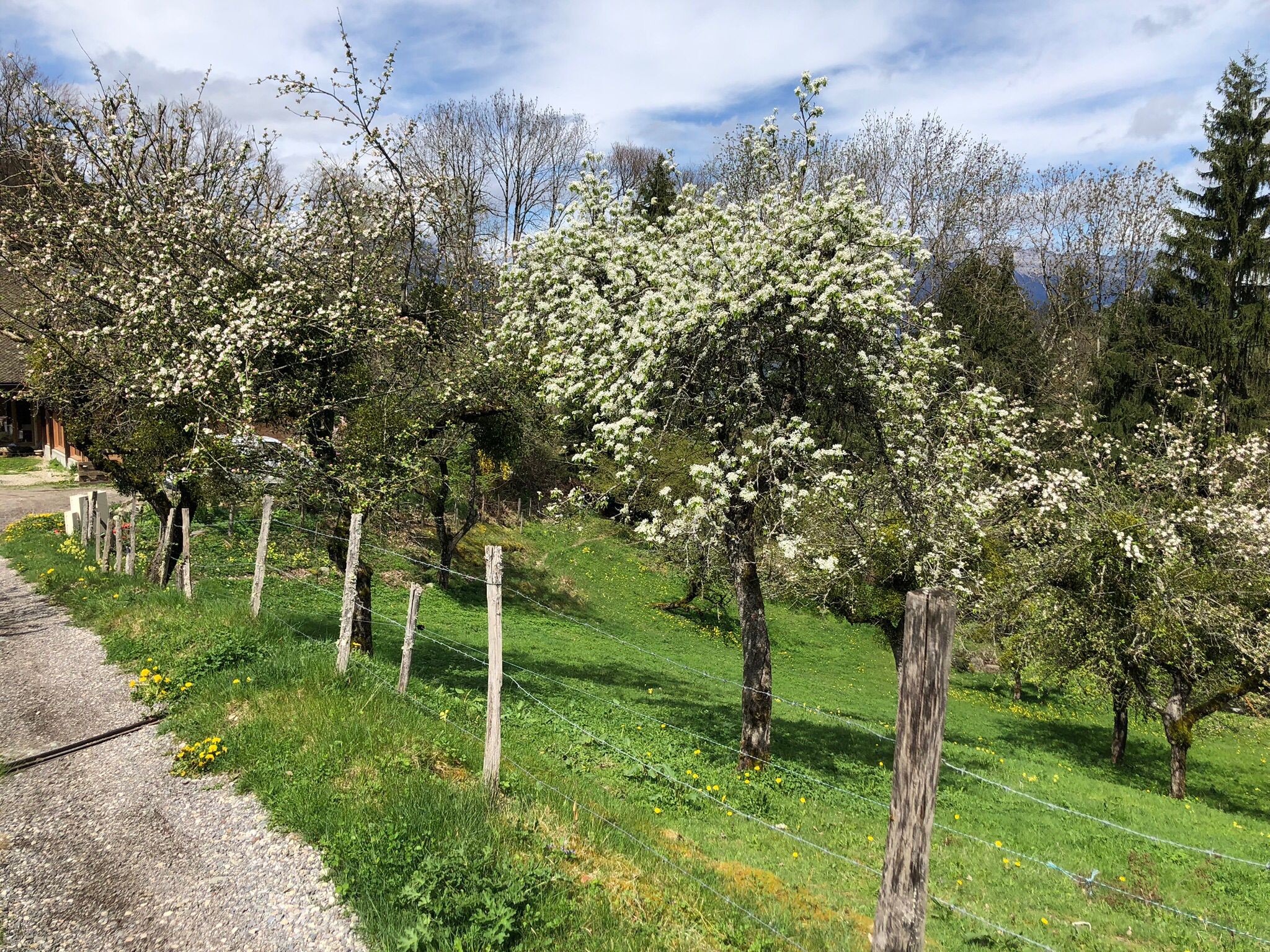 Photo n° 11 of the location