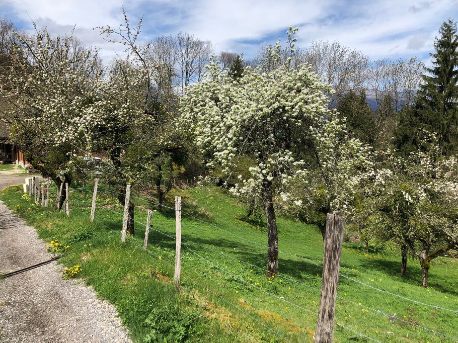 Photo n° 11 of the location