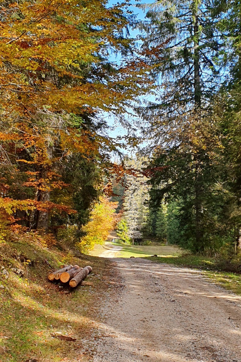 Sentier à proximité de l'appartement