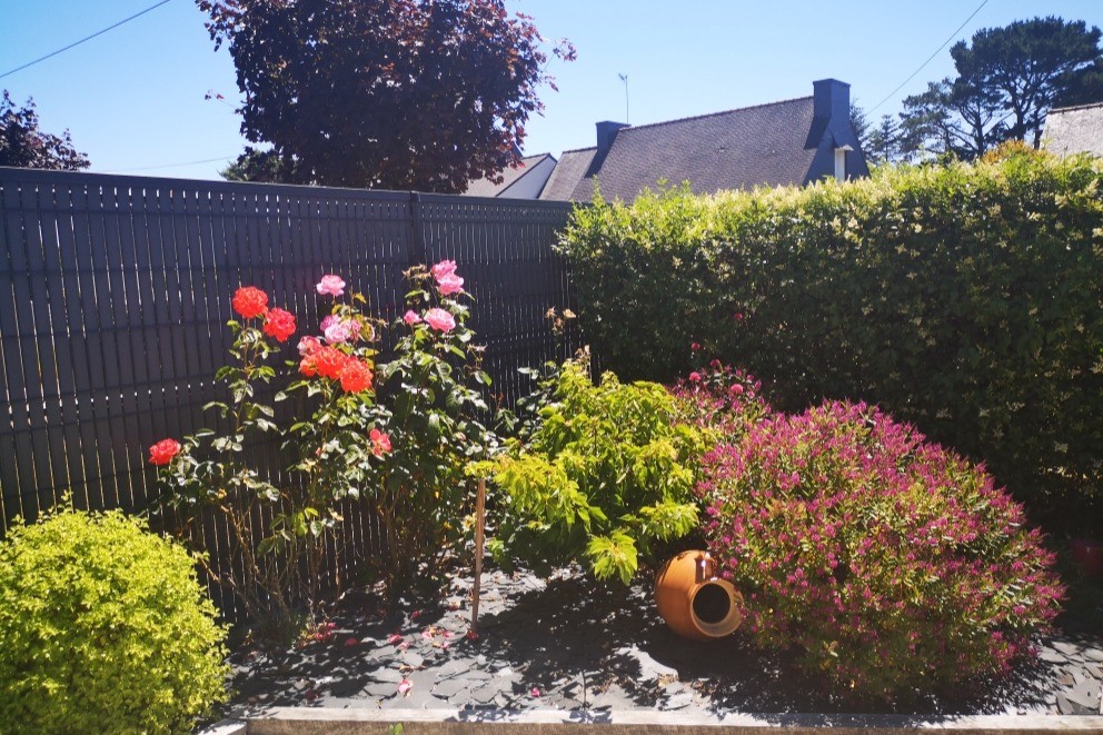 jardinet de la maison d Aristide