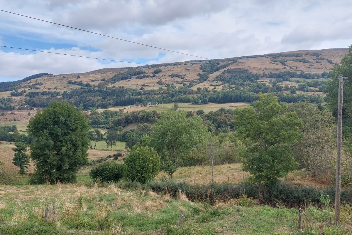 Vue des fenêtres