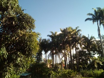 Photo n° 9 de la location