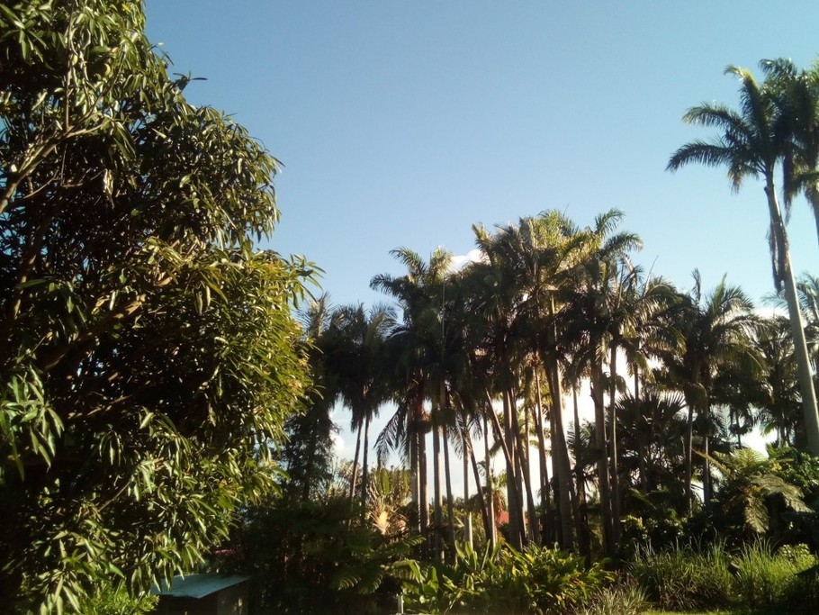 Photo n° 9 de la location