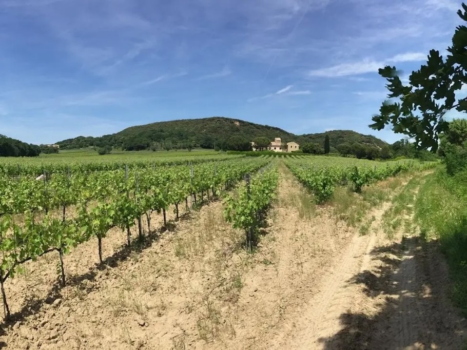 General view of the estate