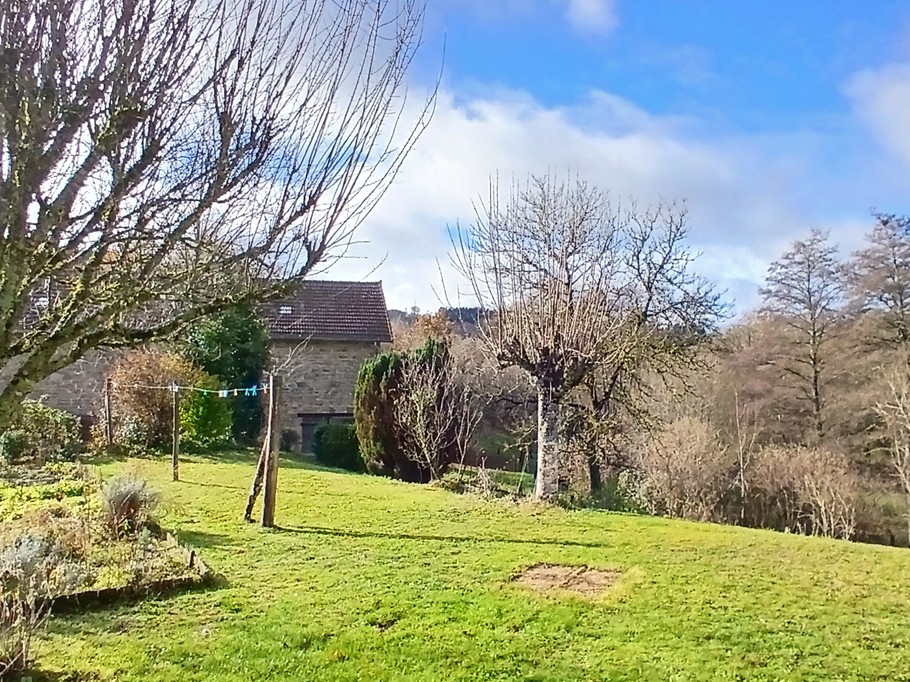 La Petite Maison, Faux Mazuras : le jardin