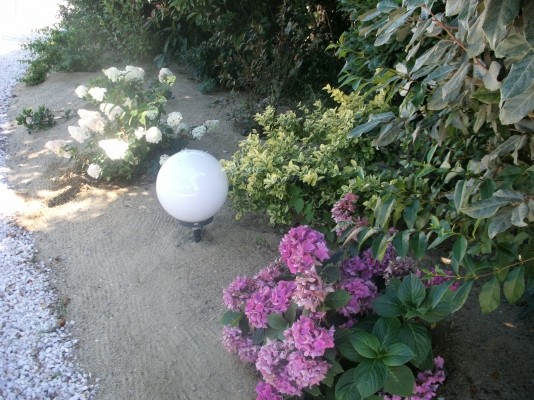 Photo n° 16 de la location