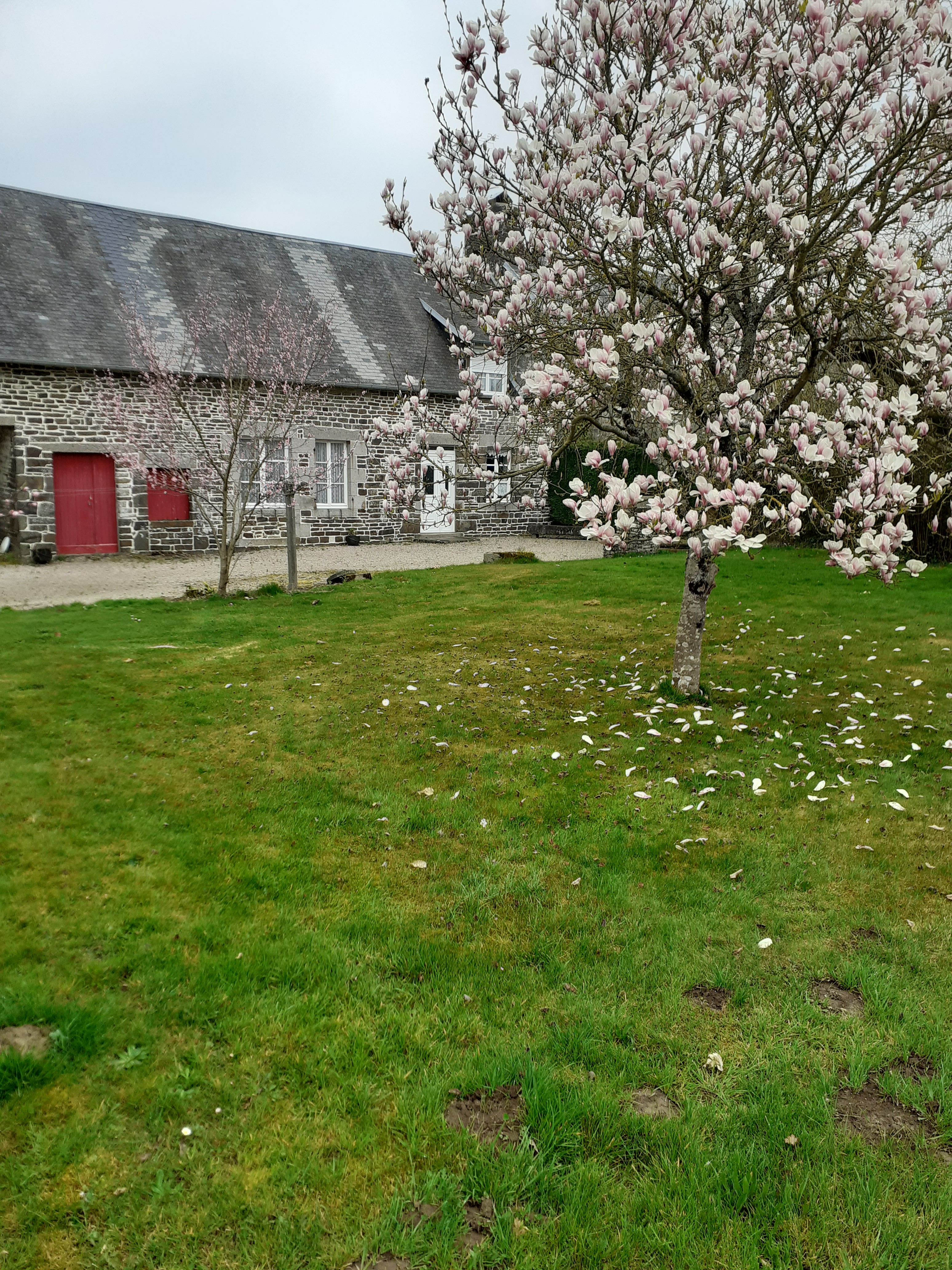 Photo n° 11 of the location