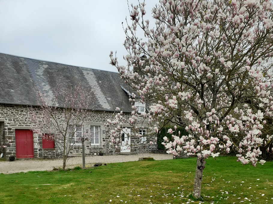 Photo n° 11 of the location