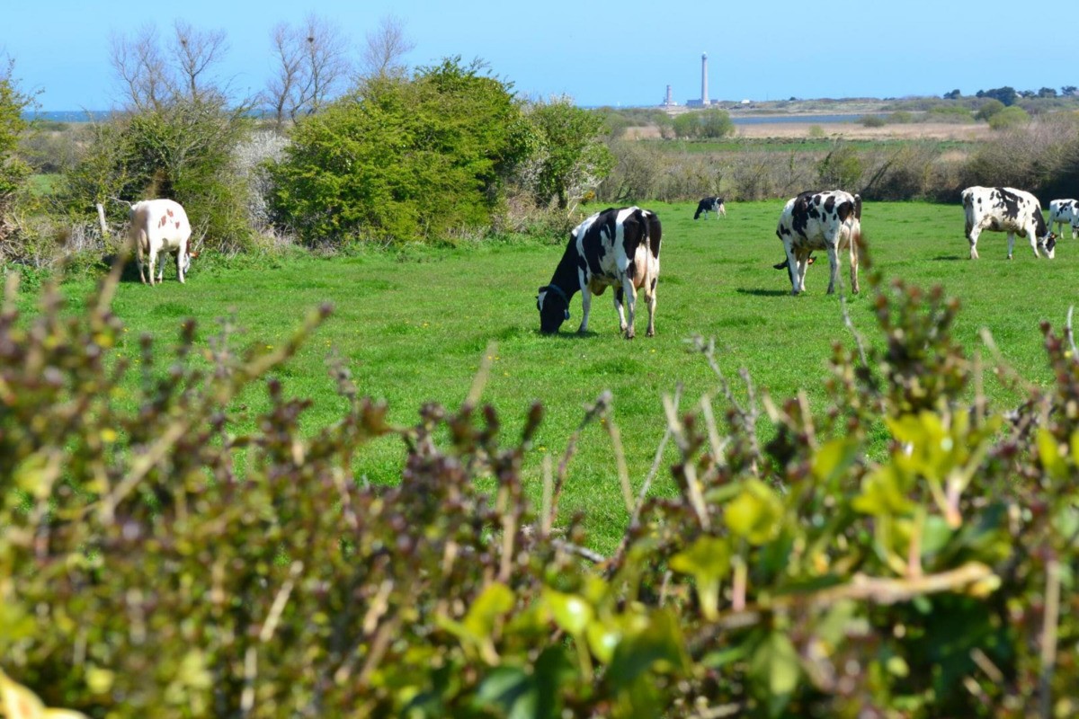 Photo n° 15 de la location