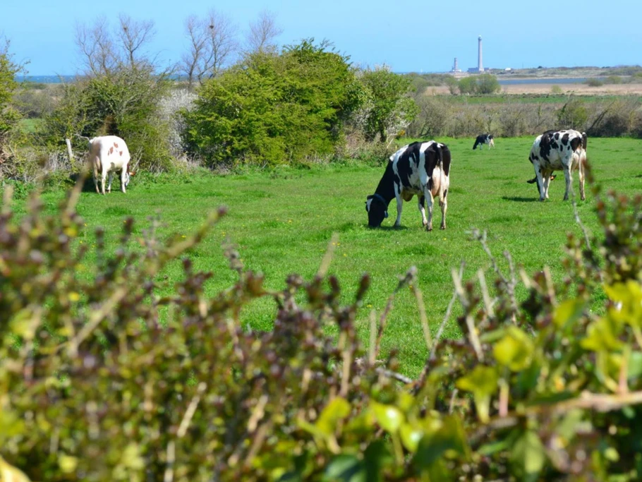 Photo n° 15 de la location