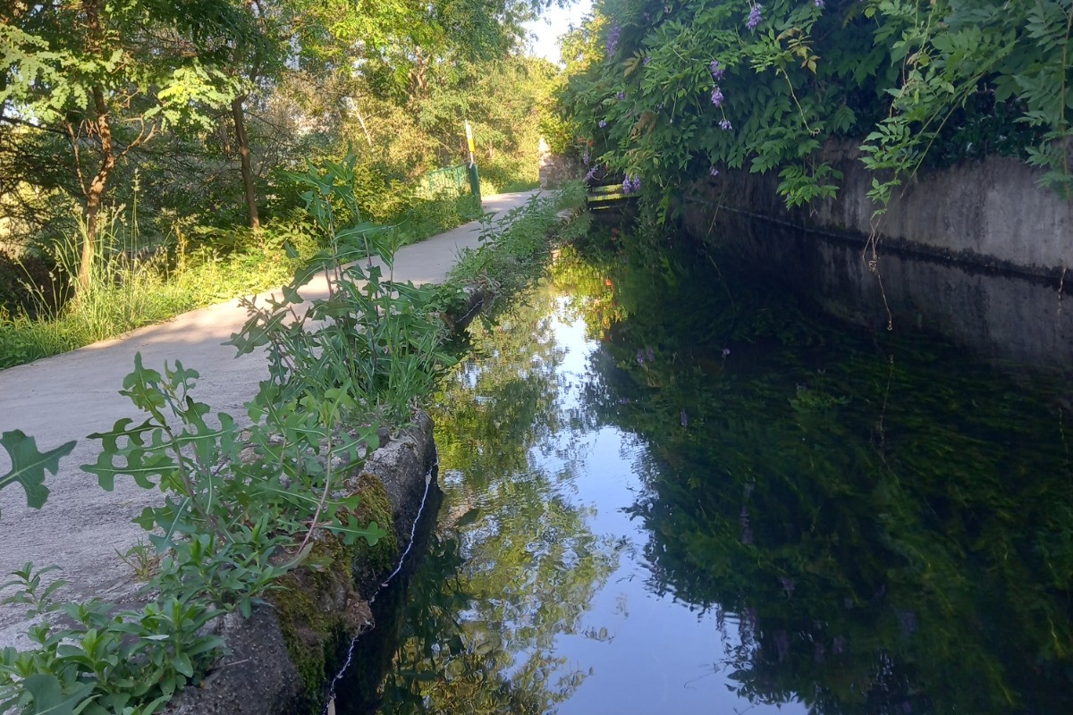 Environnement Canal