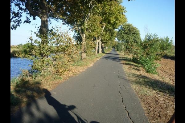 Promenade le long du canal du midi
