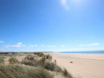 Photo n° 13 de la location