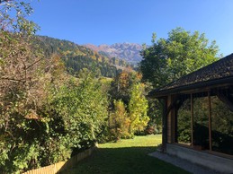 View from the garden