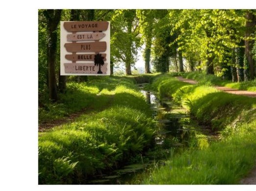 Image n° 1 de la location