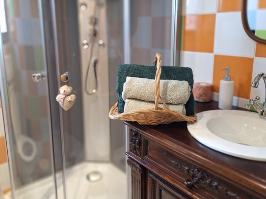 Salle de bien douche balneo