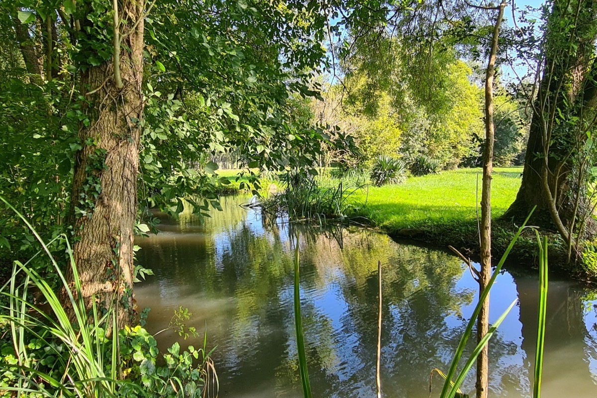 Photo n° 14 of the location