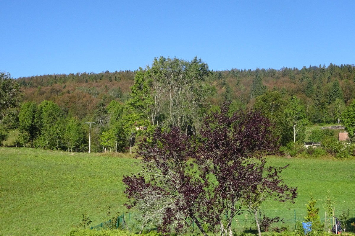 Vue de la Terrasse
