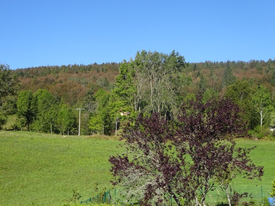 Vue de la Terrasse