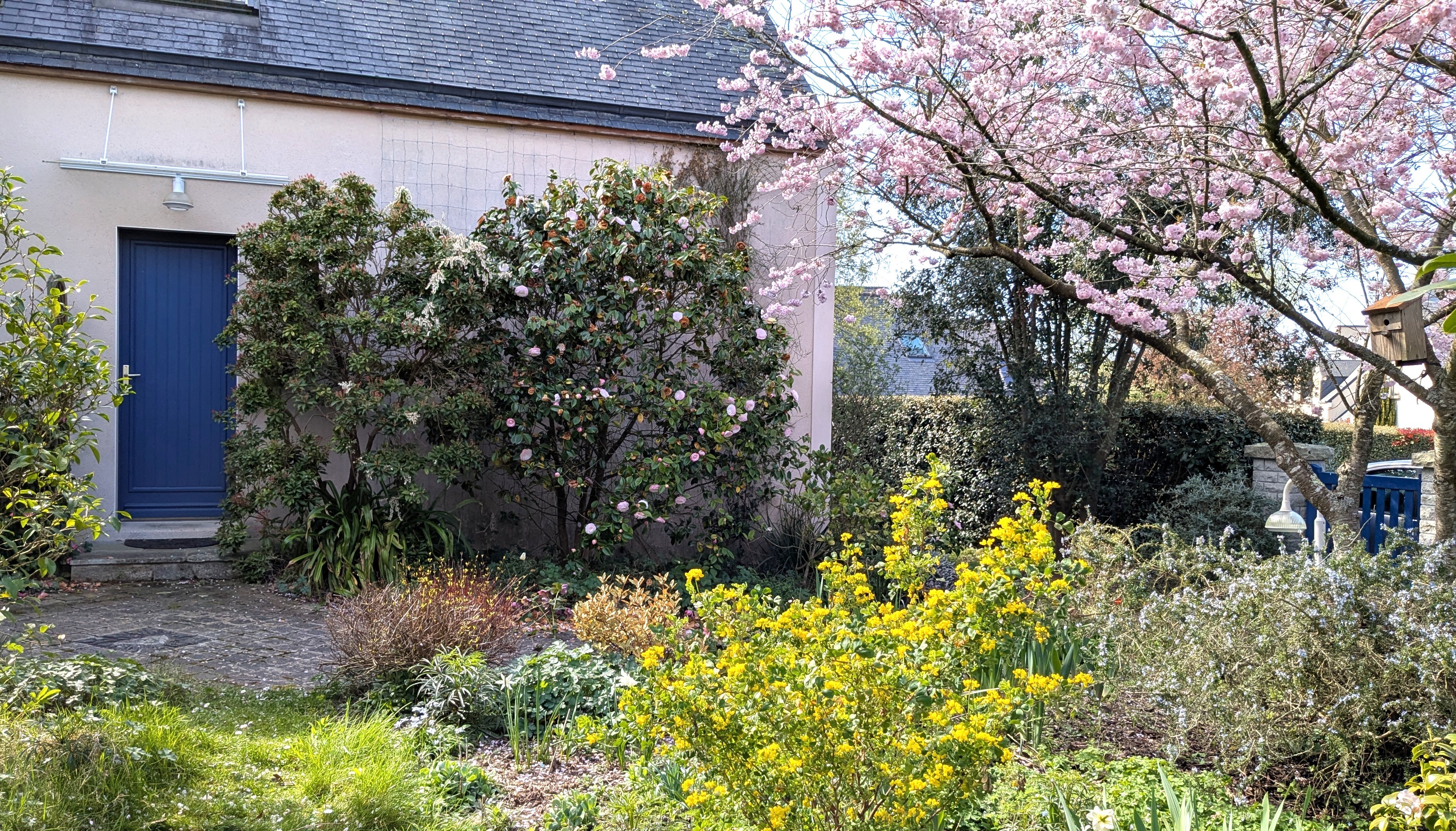 Le jardin au printemps