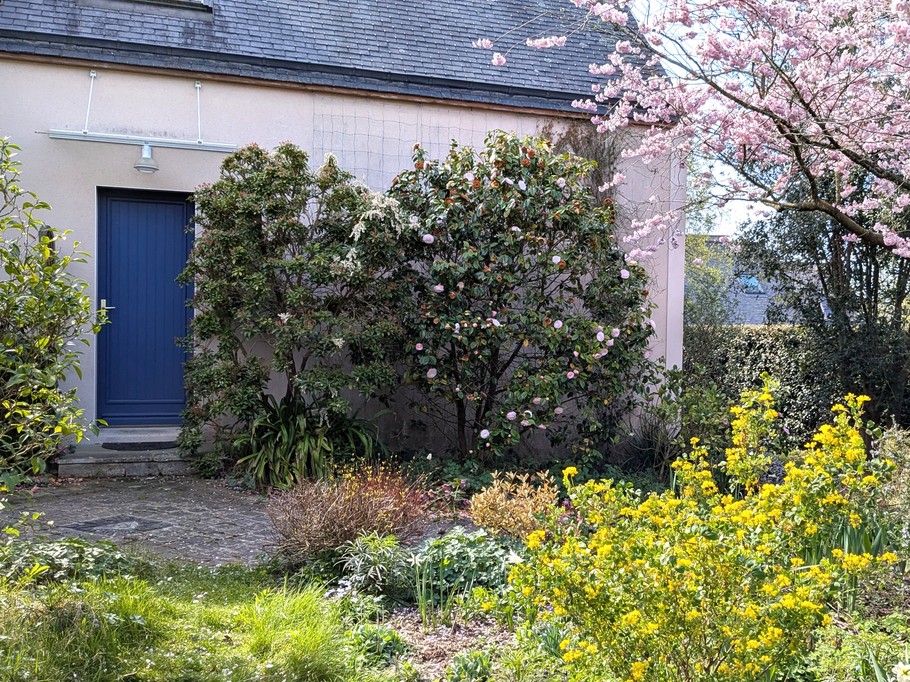 Le jardin au printemps