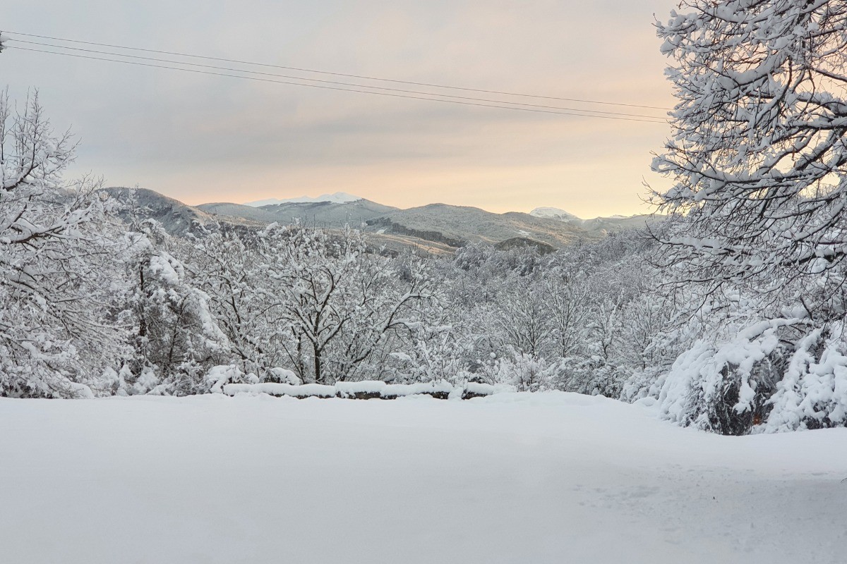 Vue de la chambre l'hiver