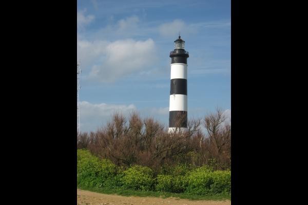 phare de chassiron