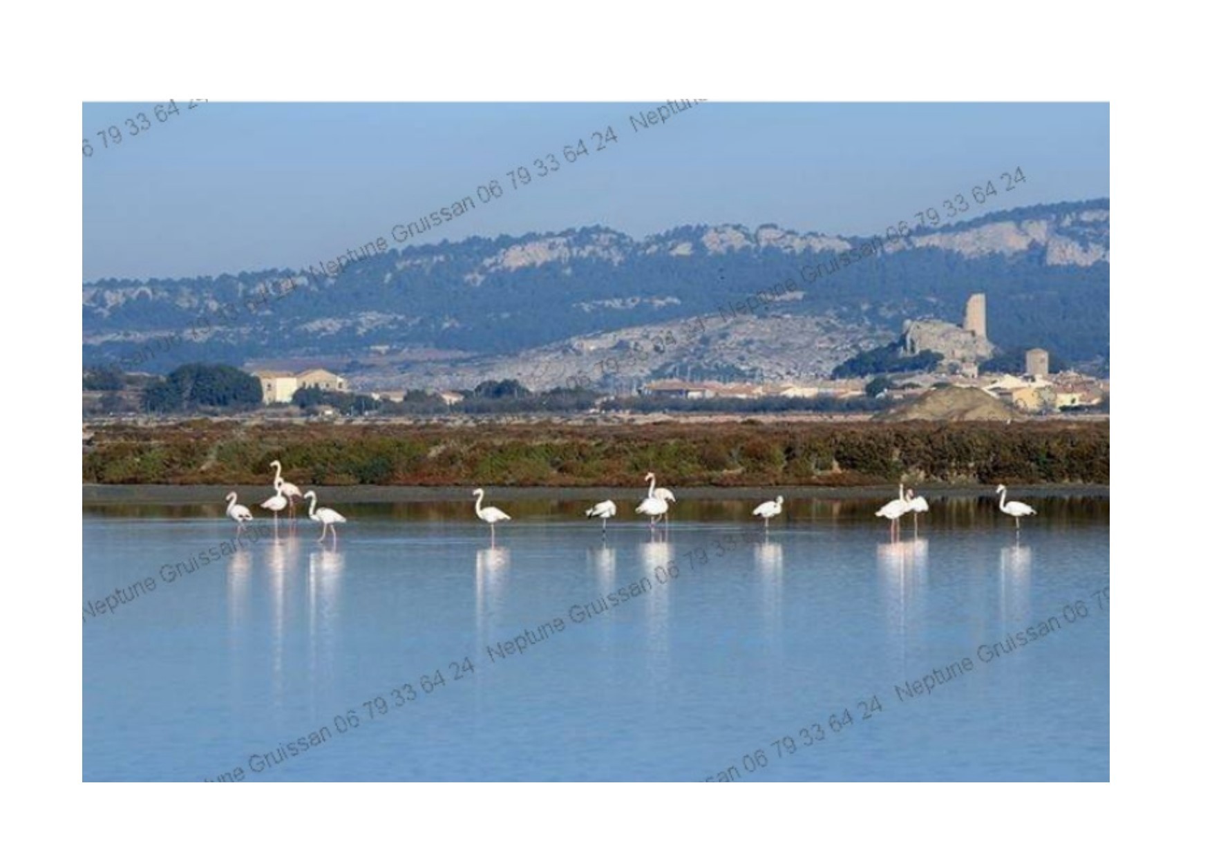 Photo n° 20 de la location