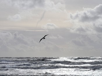 L’océan