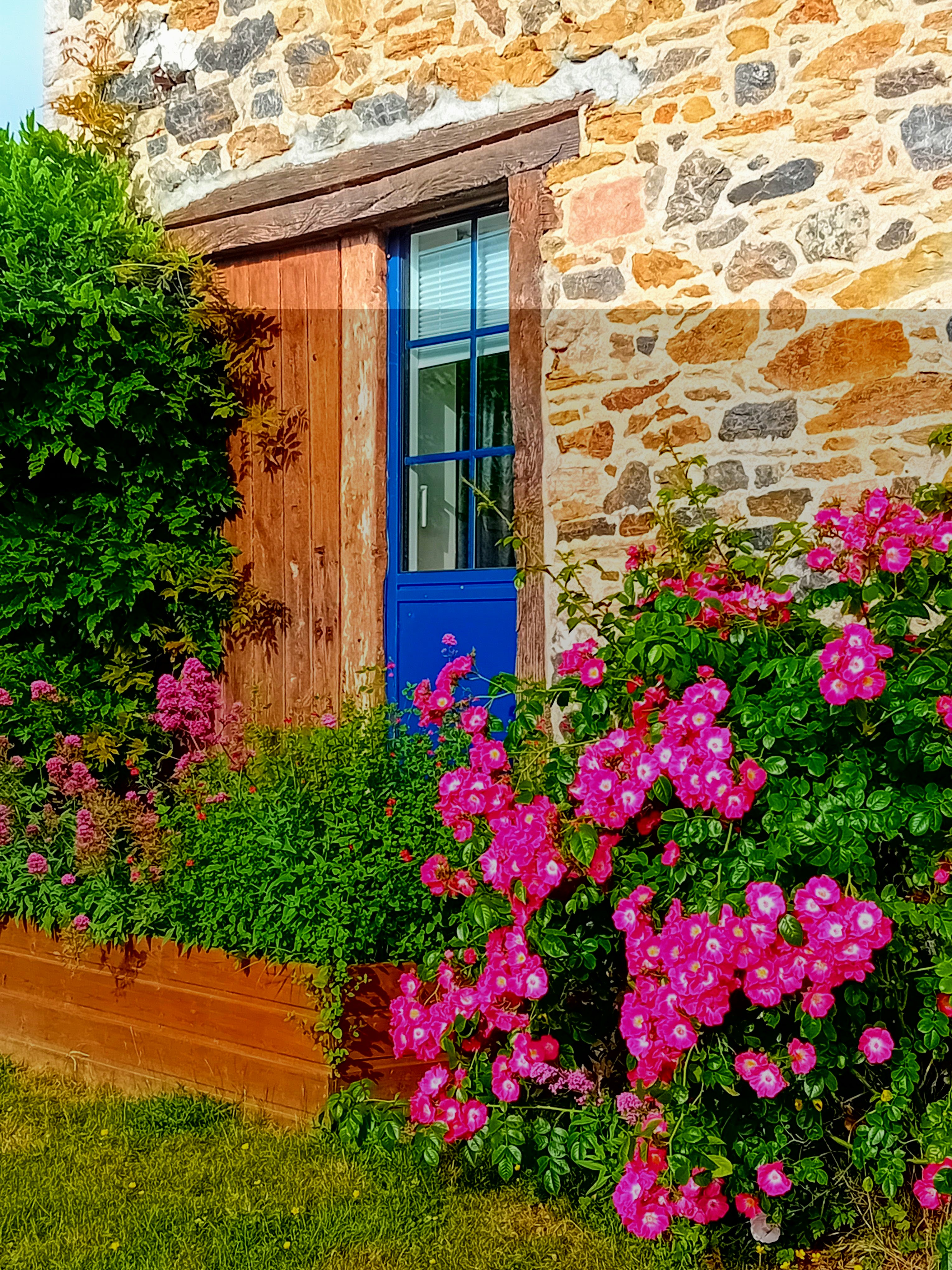 fenêtre chambre rdc