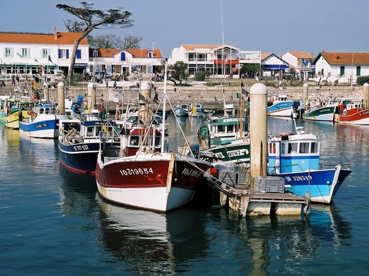 Port de la Cotinière sur l'Ile d'Oléron en Charente maritime