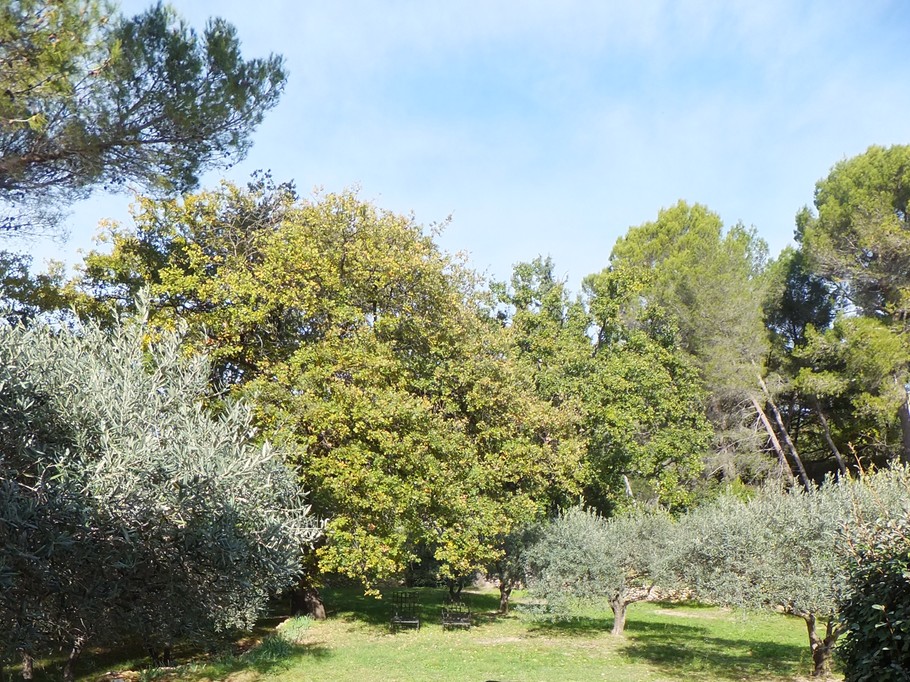 vue de la terrasse du clos