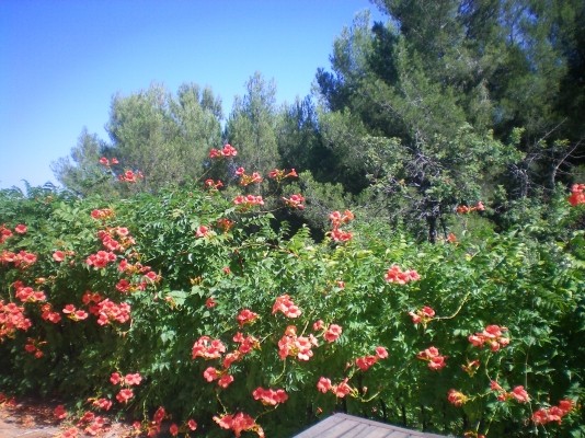Photo n° 10 of the location