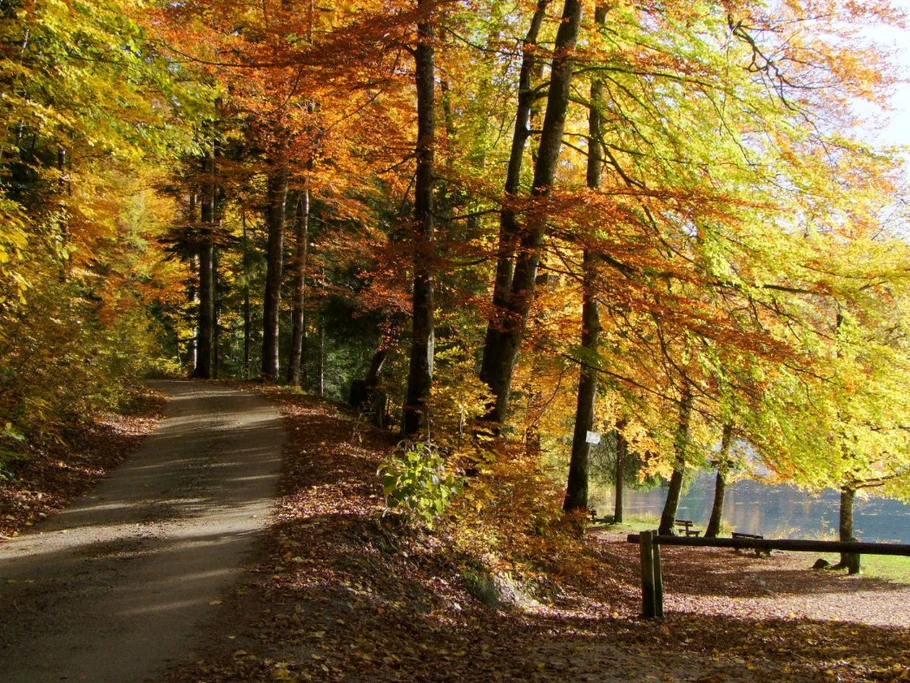 Photo n° 17 de la location