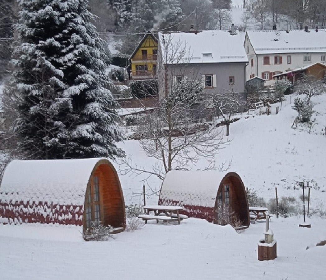 Pod sous la neige