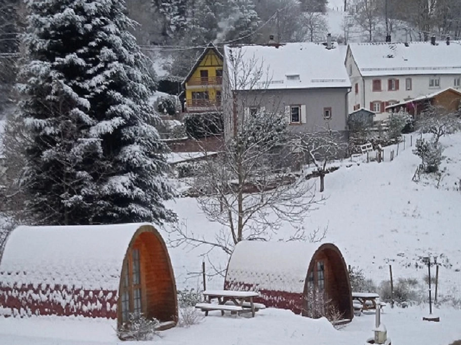 Pod sous la neige