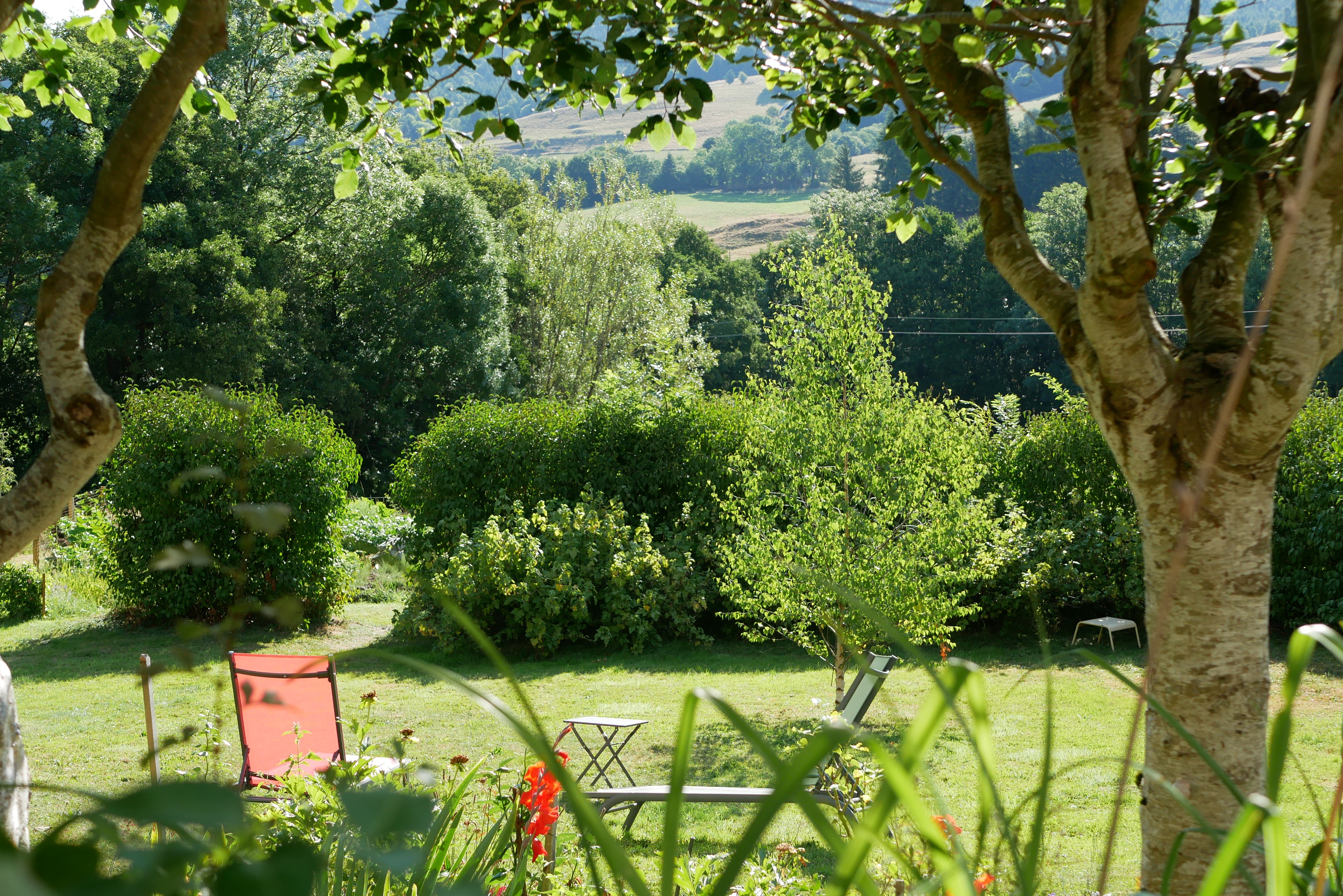 Garden with trees at the gîte with views of the Cantal mountains at Le Claux