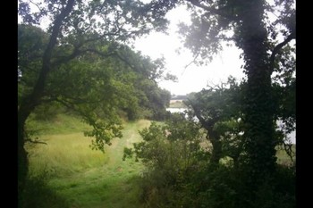 promenade dans le parc  de kerhir