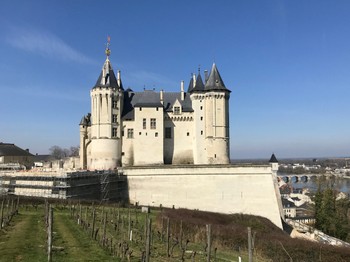 Saumur à 9 km